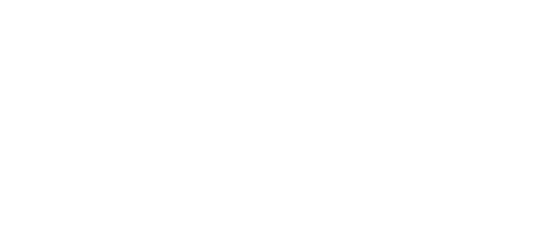 Nemsys-logo-white